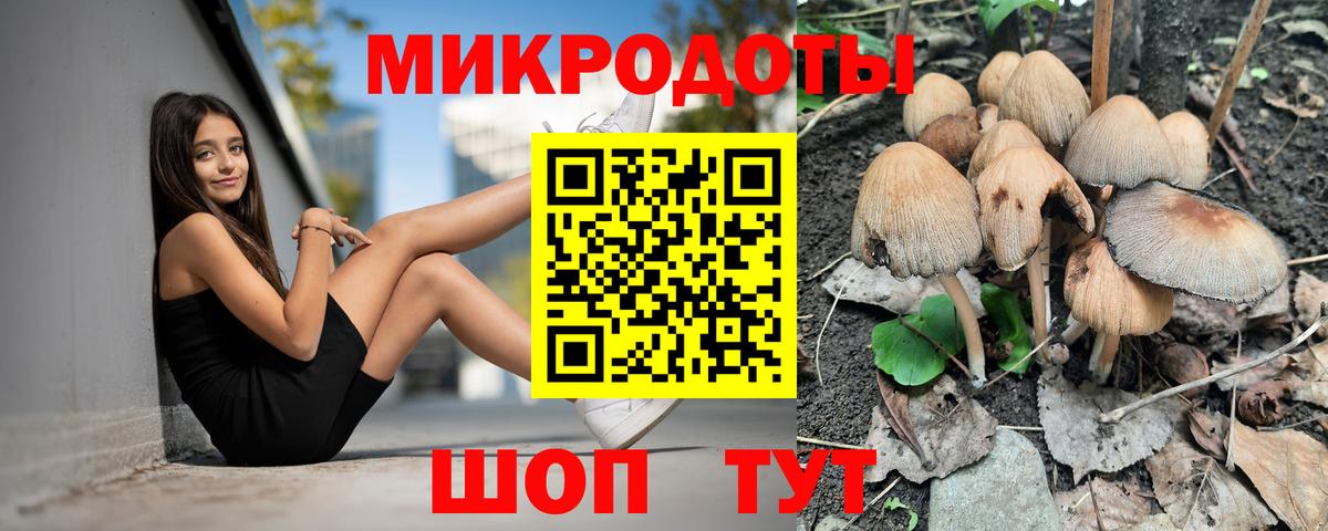 Псилоцибиновые грибы Magic Shrooms  Вход с VPN  Будённовск  Псилоцибиновые грибы мухоморы 
