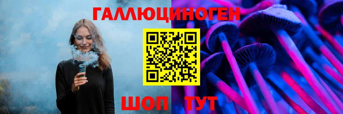 Галлюциногенные грибы Psilocybine cubensis Будённовск